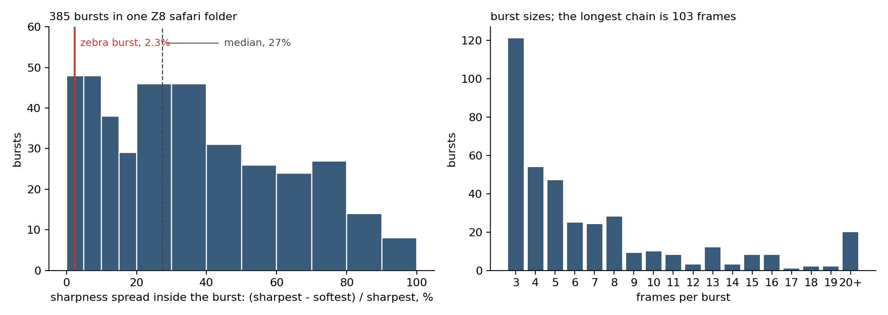 Two charts: a histogram of sharpness spread inside 385 bursts with the zebra burst marked at 2.3% and the median at 27%, and a bar chart of burst sizes from 3 frames to 20 or more