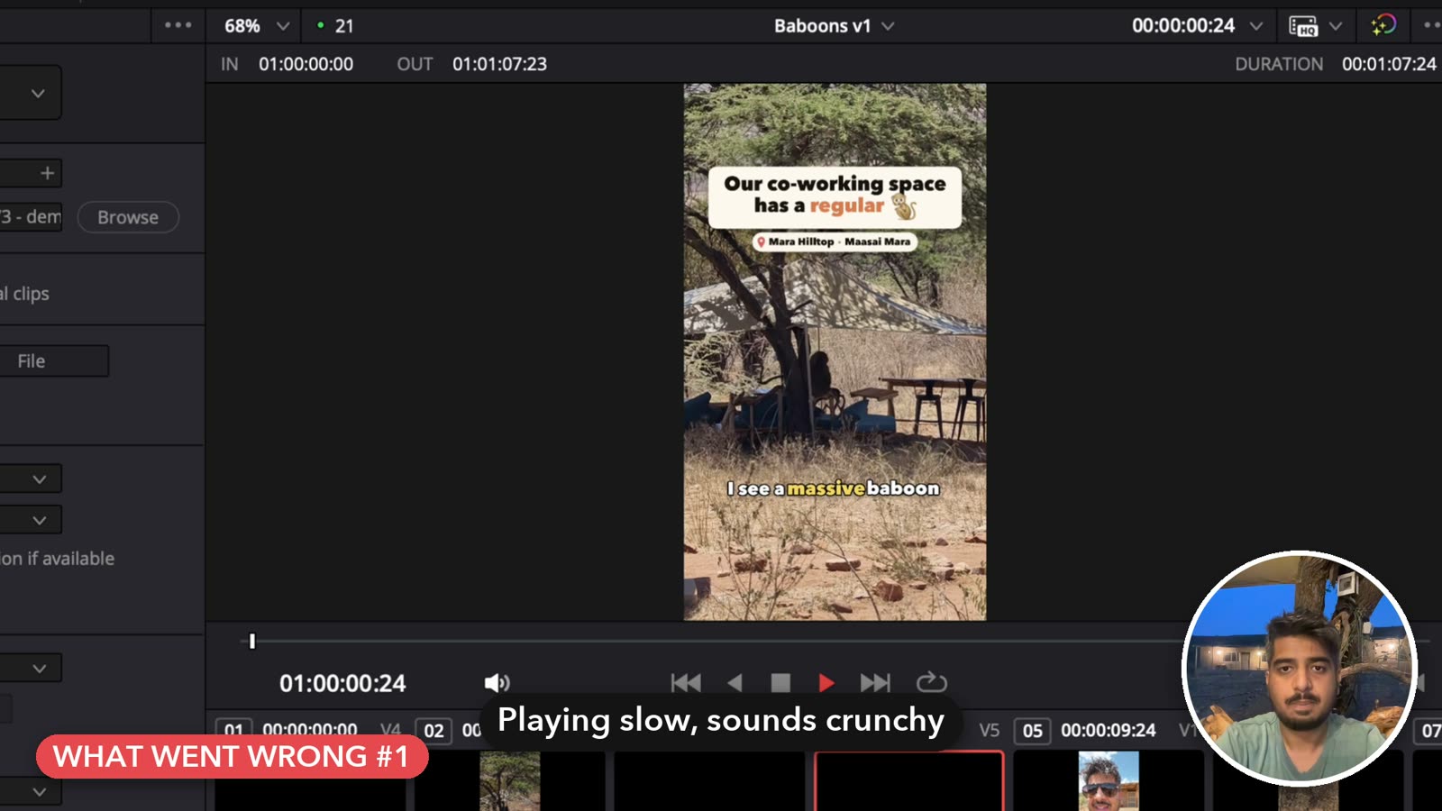 The baboon reel playing slow and crunchy in Resolve